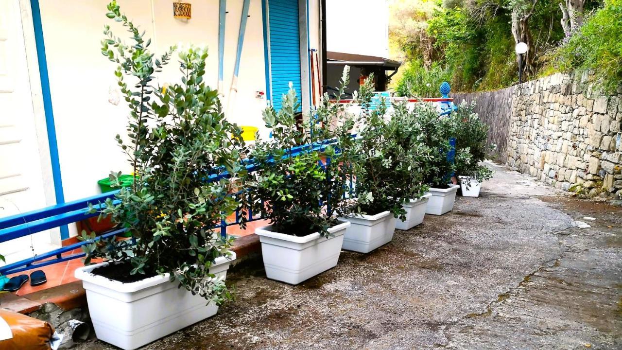 Apartamento La Casa Di Aurelio Capo dʼOrlando Exterior foto